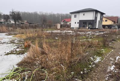 Teren de 500 mp, în Ciolpani - 2