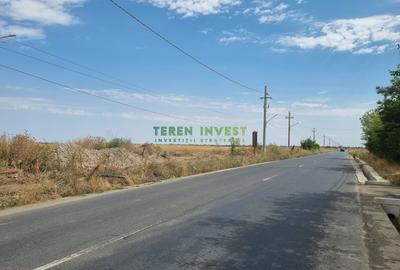 Teren Construcții intravilan de 20000 mp, în Cernica - 6