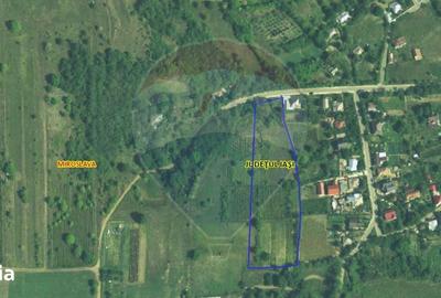 Teren de 8841 mp, în Miroslava - 10