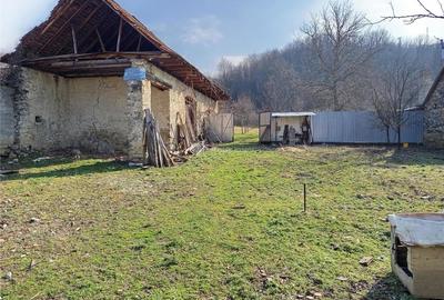 Teren de 1800 mp, în Ciclova Română - 3