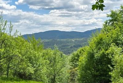 Teren de 8200 mp, în Corbeni