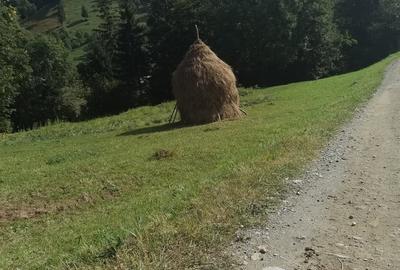Teren de 1780 mp, în Central - 2