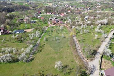 Teren Construcții intravilan de 1646 mp, în Cărbunari - 7