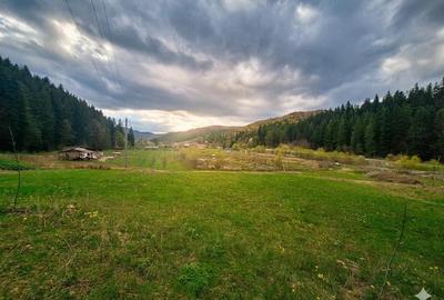 Teren de 21000 mp, în Slatina - 5