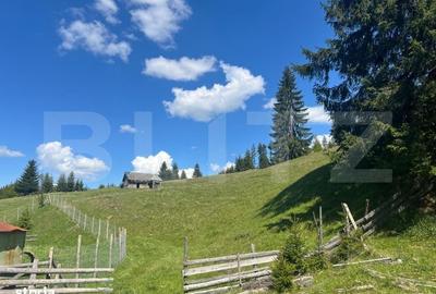 Spațiu comercial, în Piatra