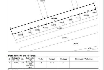 Teren Construcții intravilan de 5000 mp, în Corbeanca - 6