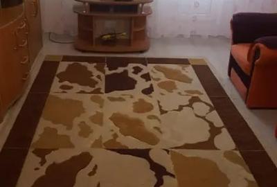 Apartament cu 3 camere decomandat în Județean - 3