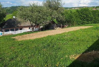 Casă cu Teren 4000 Mp în Hărman - 9