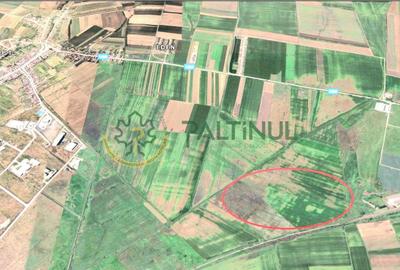 Teren agricol extravilan de 10470 mp, în Șura Mică - 2