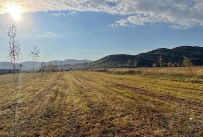 Teren de 3000 mp, în Măgureni - 2