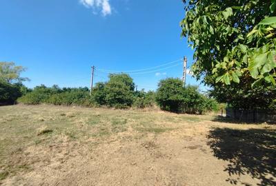 Teren Construcții intravilan de 2200 mp, în Mănăstioara (Siret)