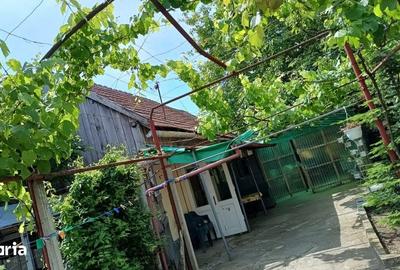 Casă cu 3 camere cu Teren 745 Mp în Sânandrei - 2