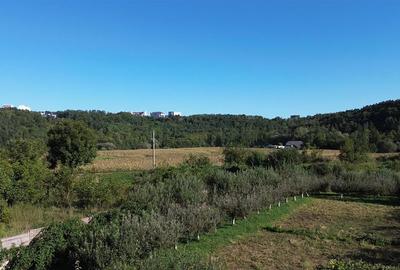 Teren intravilan de 1594 mp, în Șcheia - 6