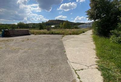 Teren de 3000 mp, în Târgu Neamț - 6