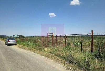 Teren de 582 mp, în Copăceni