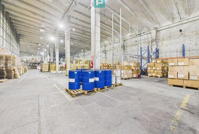 Spațiu industrial, de 6,500 mp, în Exterior Est - 5