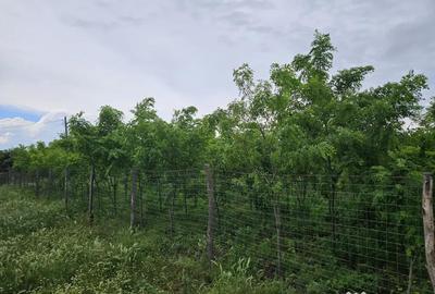 Teren de 1200 mp, în Smirna - 1