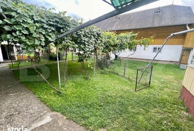 Casă cu 3 camere cu Teren 1499 Mp în Boroaia