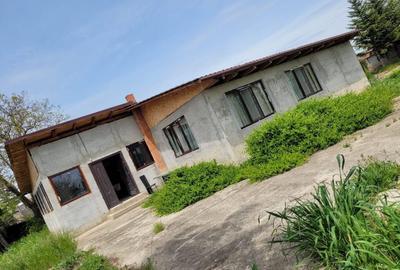 Casă cu 4 camere în Topliceni - 1