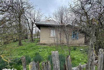 Casă cu 2 camere cu Teren 1586 Mp în Frăsinet - 4
