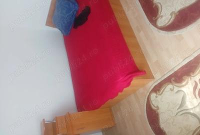 Apartament cu 2 camere decomandat în Stănești - 4