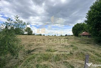 Casă cu 3 camere cu Teren 6997 Mp în Bughea de Sus - 6
