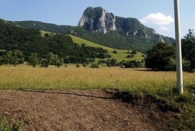 Teren de 3500 mp, în Râmeț