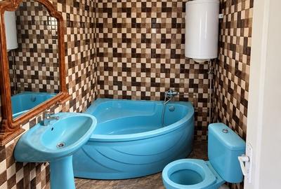 Casă cu 2 camere în Sohodol