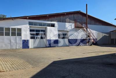 Spațiu industrial, de 300 mp, în Sebeș - 2