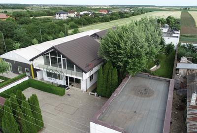 Casă individuală cu 15 camere cu Piscina în Mogoșoaia - 33