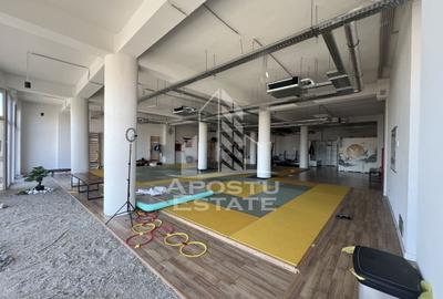 Spațiu comercial, de 314 mp, în Iosefin - 2