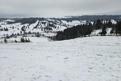 Teren de 25731 mp, în Breaza - 11