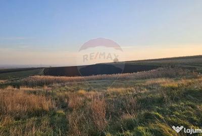 Teren de 30077 mp, în Stroiești - 4
