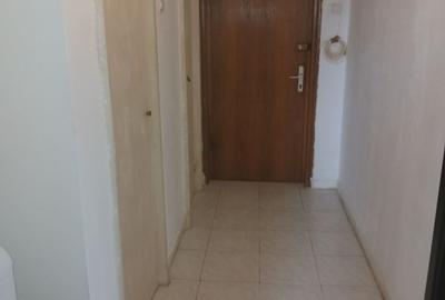 Apartament cu 2 camere decomandat în Ostroveni - 11