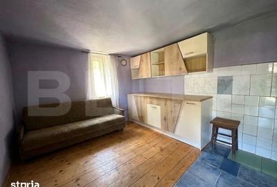 Casă cu 4 camere cu Teren 2534 Mp în Brănișca - 3