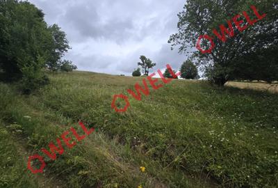 Teren extravilan de 2300 mp, în Sărămaș - 2