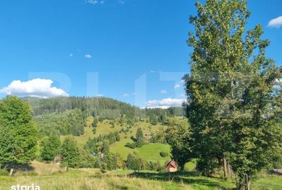 Teren de 2500 mp, în Central - 4