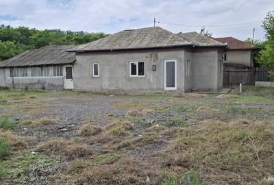 Casă cu 3 camere în Radovanu - 2