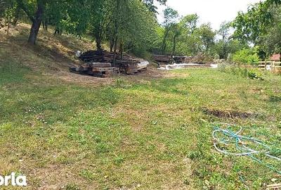 Teren de 5754 mp, în Ohaba Lungă - 5