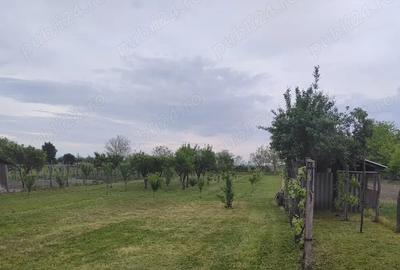 Teren de 1900 mp, în Rovinița Mare - 3