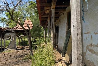 Teren de 4630 mp, în Rădmănești - 9
