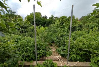 Casă cu 3 camere cu Teren 600 Mp în Central
