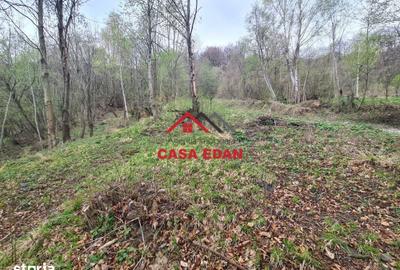 Teren de 1000 mp, în Valea Doftanei