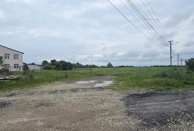 Teren de 47000 mp, în Răcari