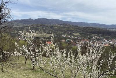 Teren de 22000 mp, în Corbi - 6