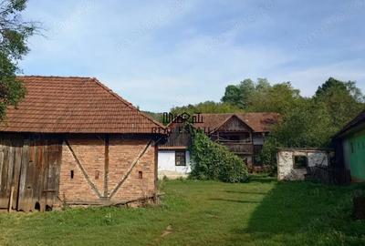 Casă cu Teren 9223 Mp în Baia de Criș - 20