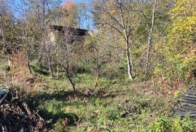 Teren Construcții intravilan de 5400 mp, în Drăgăneasa - 1