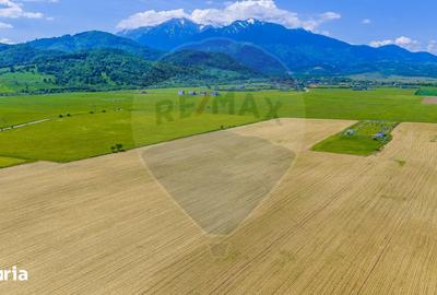 Teren de 12300 mp, în Central