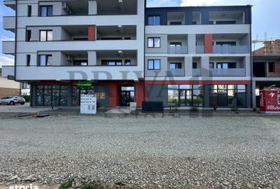 Spațiu comercial, de 210 mp, în Lipovei