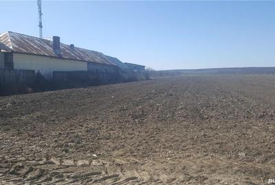 Teren de 7444 mp, în Dărmănești - 5